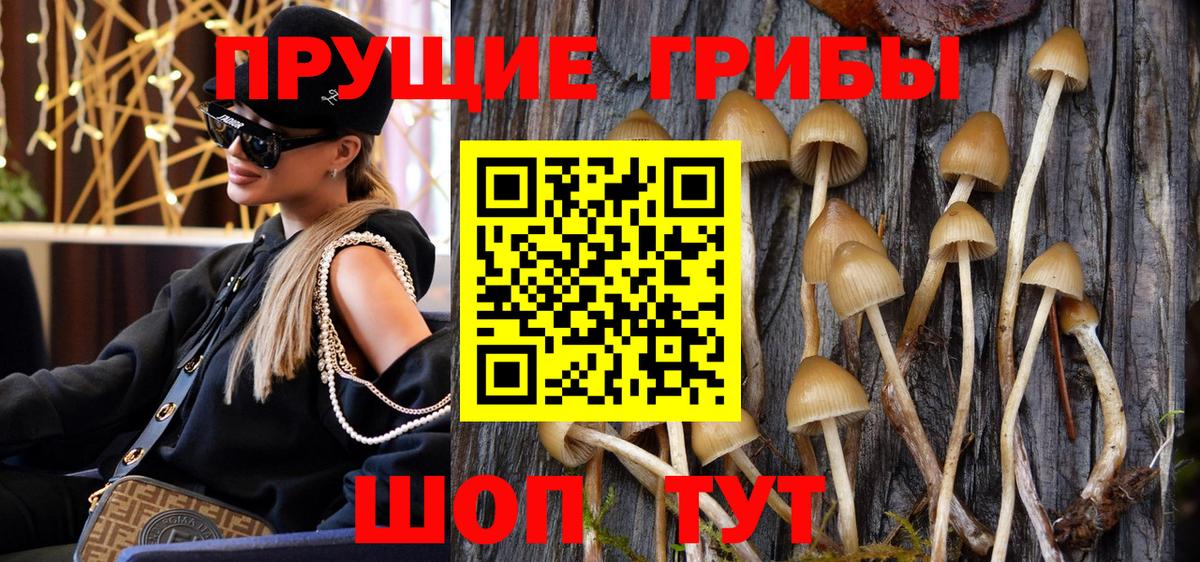 Галлюциногенные грибы мухоморы Коряжма