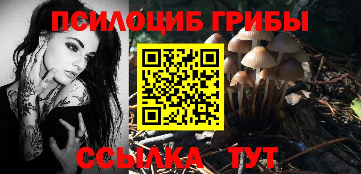Галлюциногенные грибы Psilocybine cubensis  Вход с VPN  что такое наркотик  Коряжма 